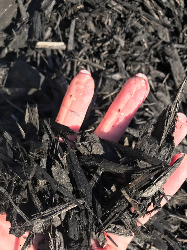 Eco Black Mulch 01 3