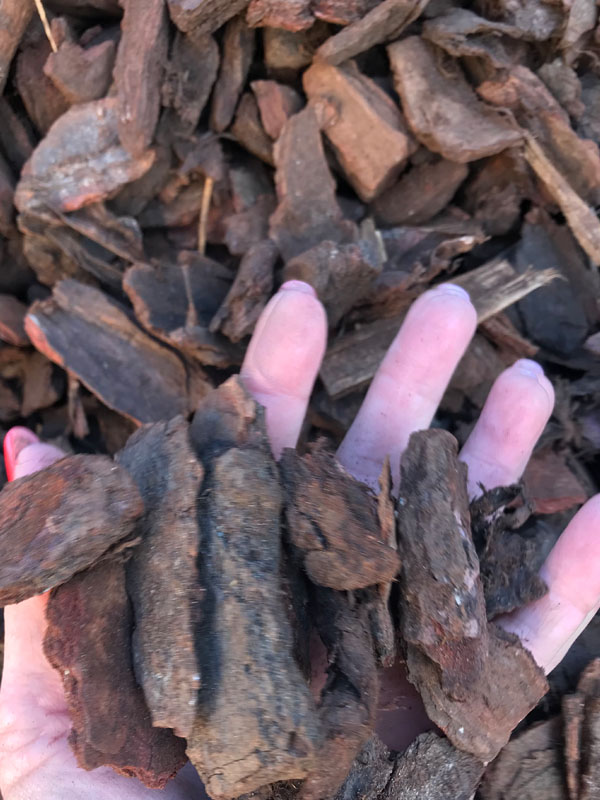 No 5 Bark 01