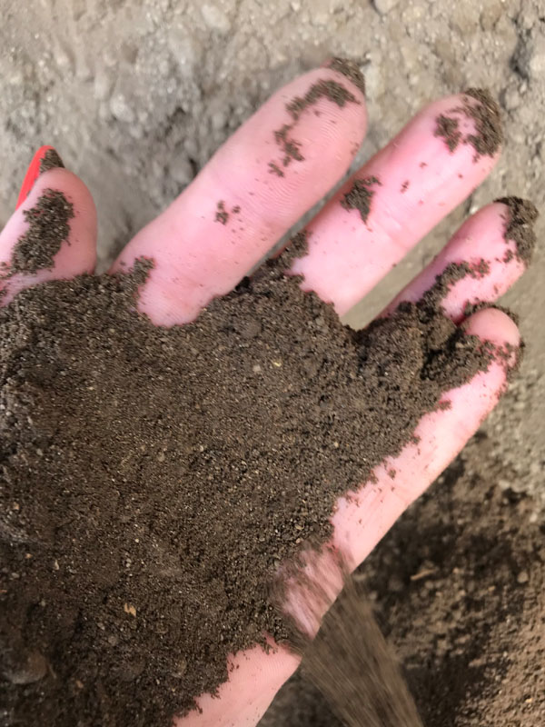 Waikato screened topsoil 01